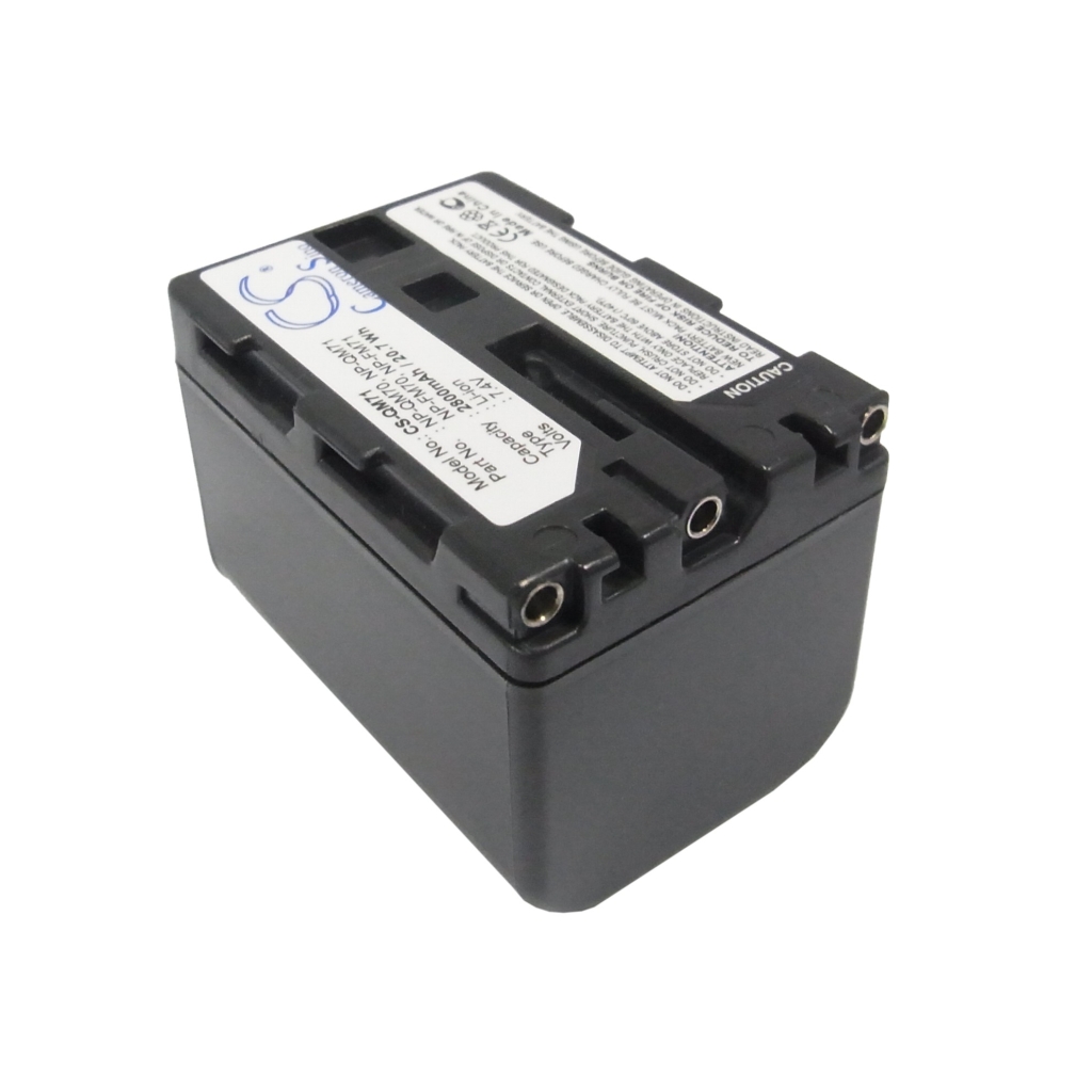 Battery Replaces NP-QM71